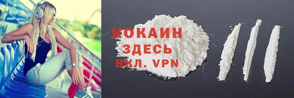 ПСИЛОЦИБИНОВЫЕ ГРИБЫ Верея