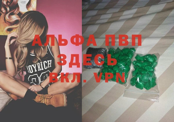 spice Бородино