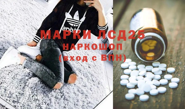 spice Бородино