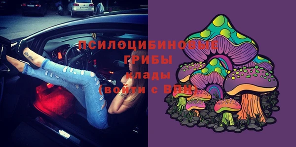 СК Слюдянка