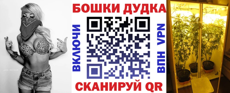 Марихуана OG Kush Киреевск